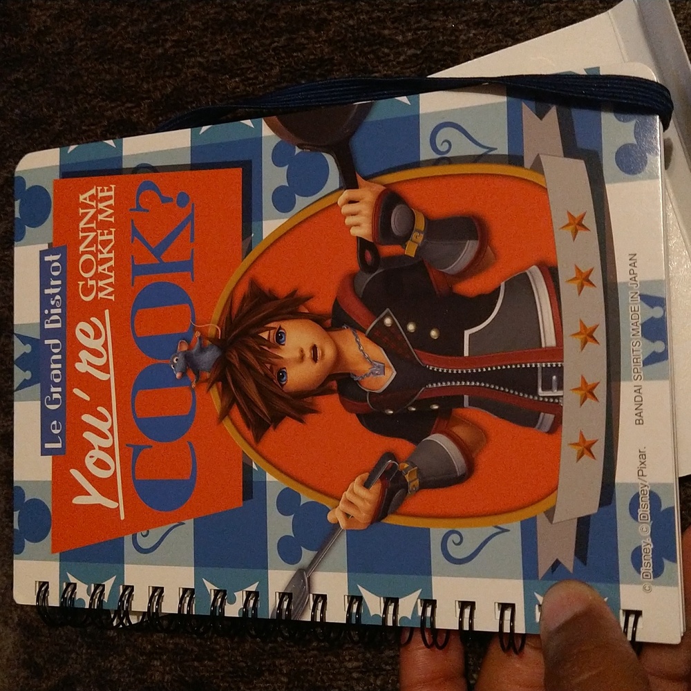 Kingdom Hearts "Second Memory" Mini Journal